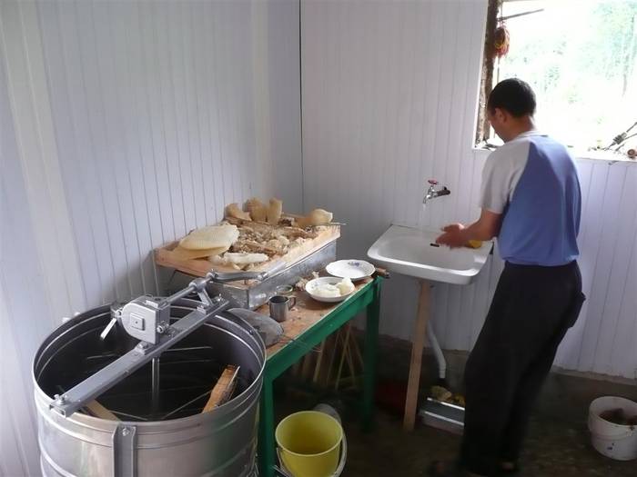 P1040610 (Large) - Costica V-Darie