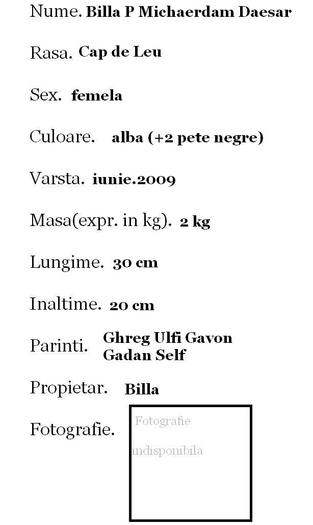 Billa P Michaerdam Daesar - Billa P Michaerdam Daesar