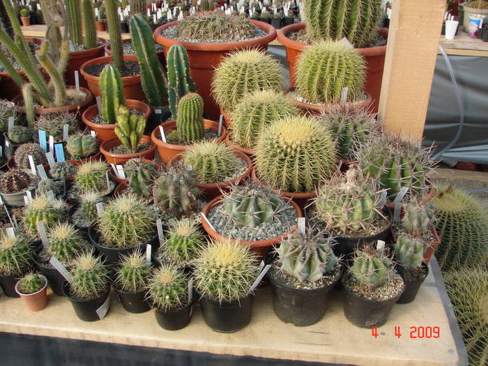 DSC05207