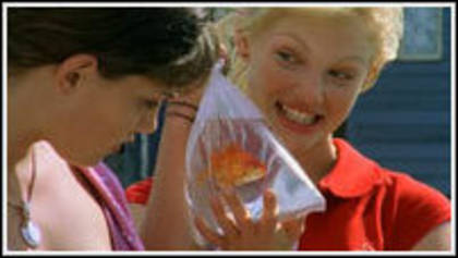 5080890404a6262819894l