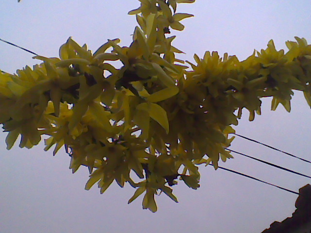 Imag018