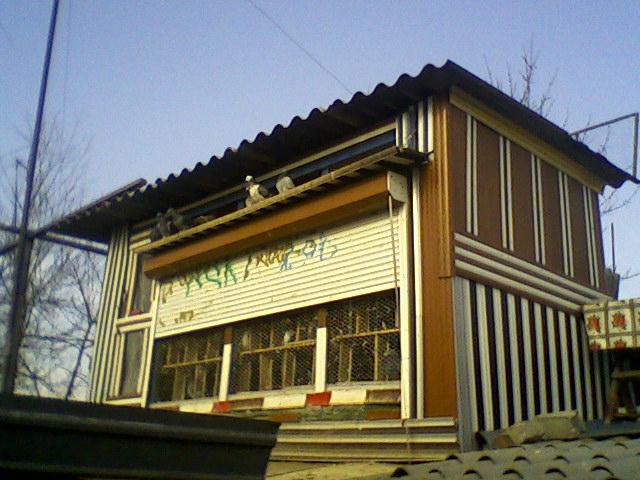 Fotografii-0025Gjmp - Copy (2) - Porumbeii mei calatori