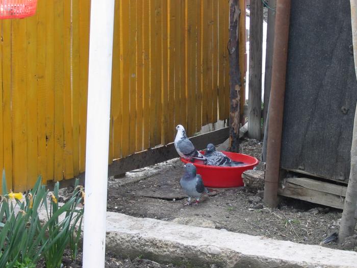 104_0474 - Acum muuuult timp