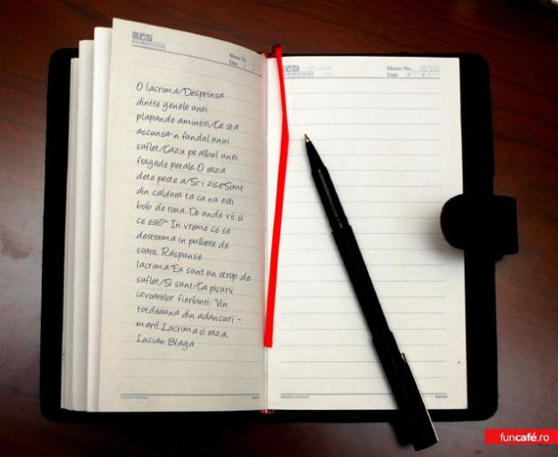 4b494e35ebbe4b8c_agenda - DiVeRsE