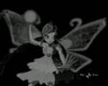 defaultCADCQJPR - winx bloom dark