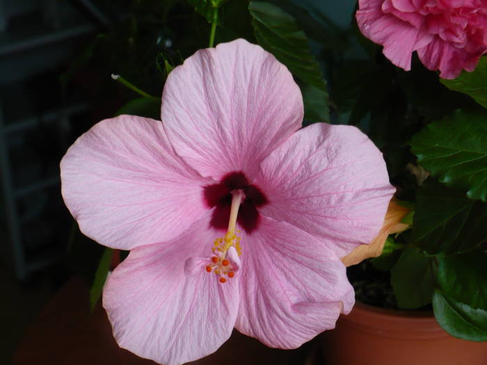 P1140151