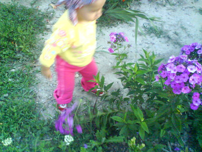 DSC00615