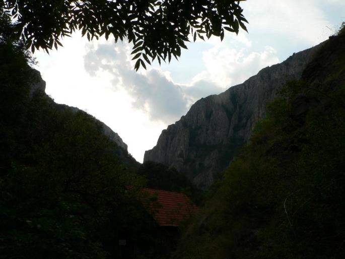 P100081