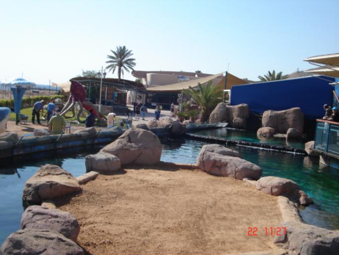 511 Israel - Eilat - The Observatory Marine Park - 2008 ISRAEL NOIEMBRIE