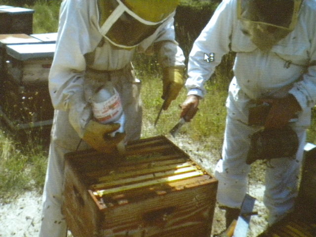 DSCN1962