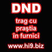 dnd%20trag%20cu%20prastia%20in%20furnici