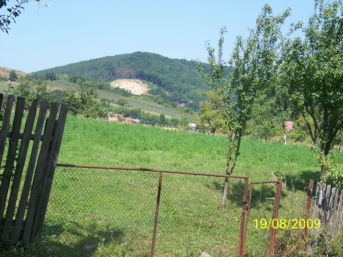 101_0941 - Marca 2