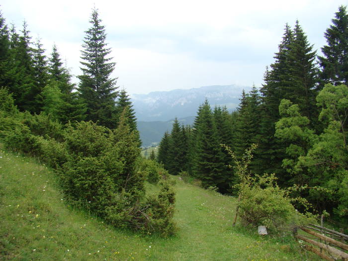 DSC03896 - Concediu 2009