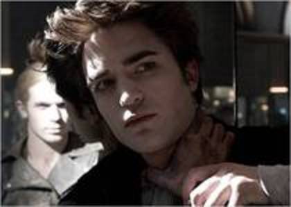 QYLIZLNJOYJHWCROQGS - Twilinght-poze