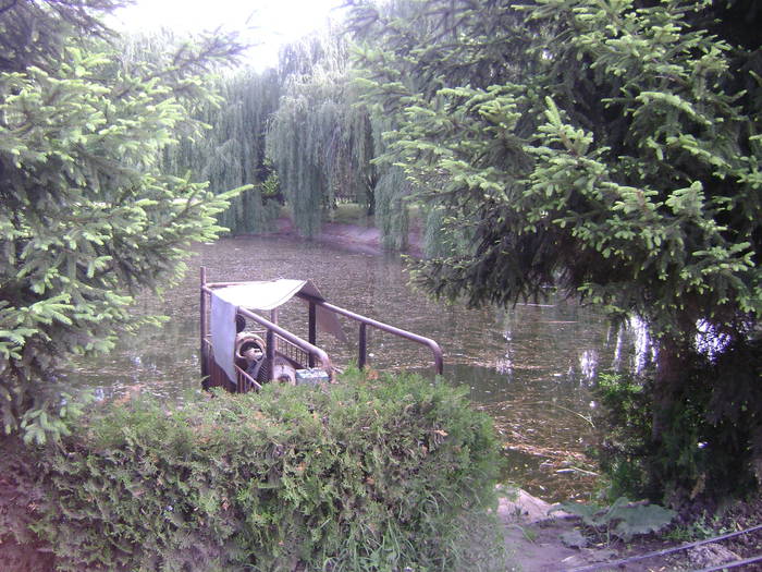  - EXCURSIE  in DELTA