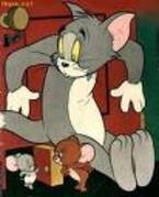 tom si jerry 5 - poze tom si jerry