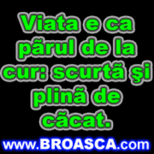 viata%20e%20ca%20parul%20de%20la%20cur%20scurta%20si%20plina%20de%20cacat[1] - poze pentru mess