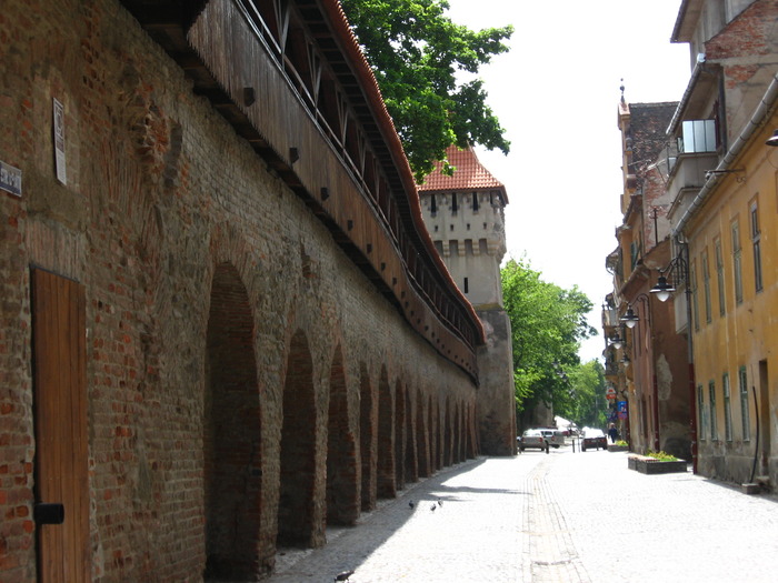 IMG_4625 - SIBIU - 18 mai 2008