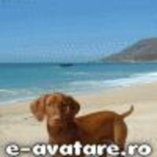 avatare_gratuite_1364081697472cb2b3347aa9_69346077