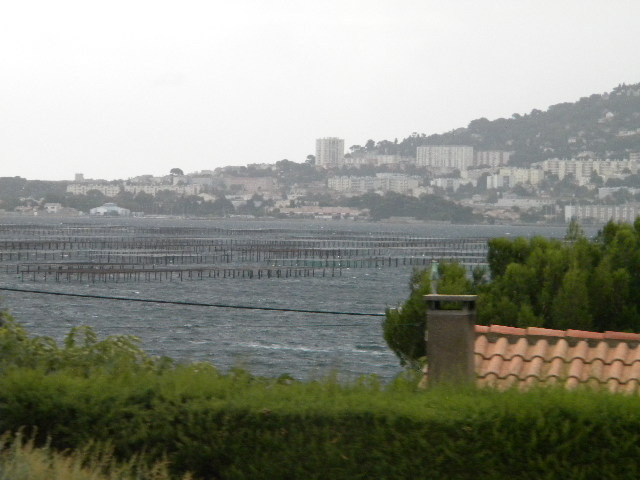 DSCN1587
