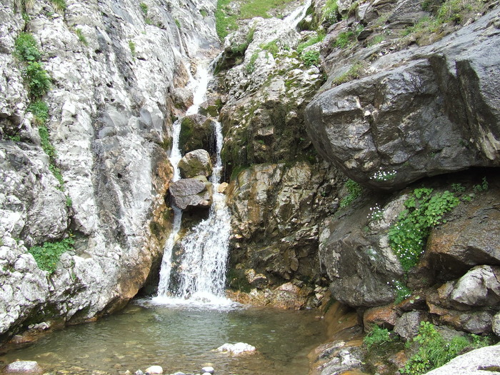 2009_08190374 - Poze din diferite locuri din Romania