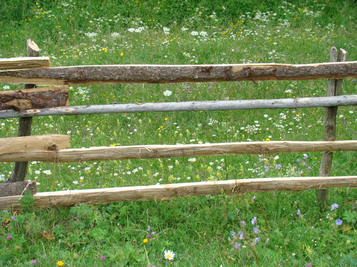 DSC03898 - Concediu 2009