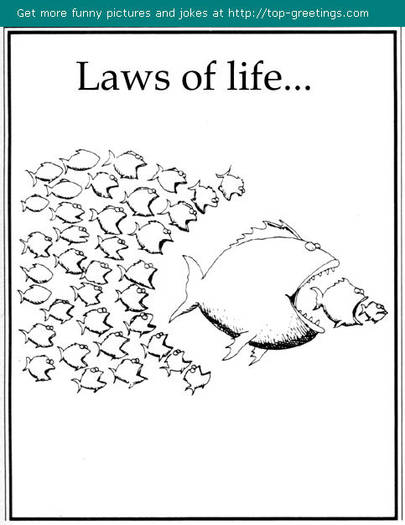 lawsoflife