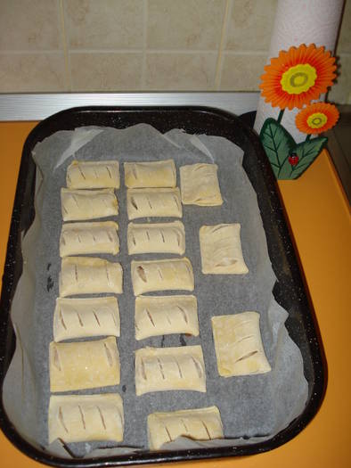 PATEURI CU MERE SI SCORTISOARA