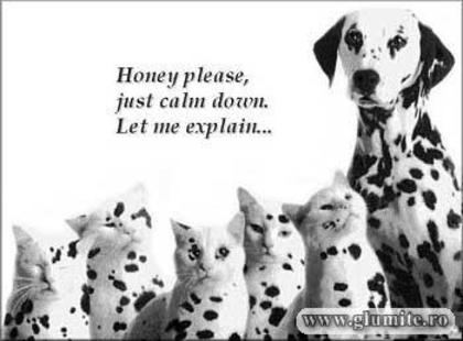 animale-prins_cu_mata_n_sac