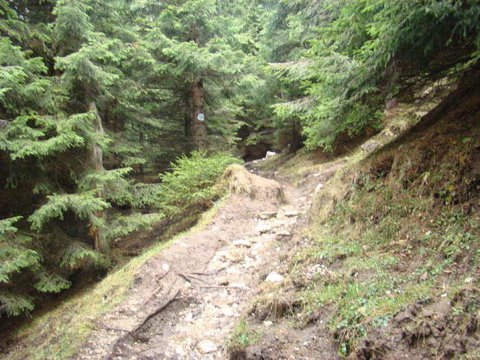 DSC04605