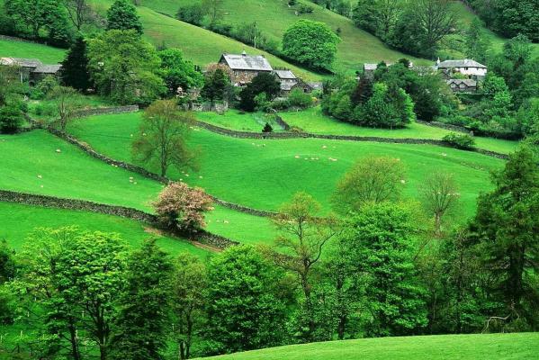 Copy (2) of Copy of NNERZ027 - wallpaper