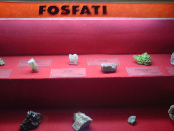 DSC00457 - STEFY BUCURESTI - MUZEUL DE GEOLOGIE