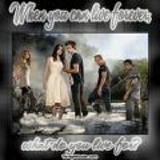 twilight - Twilight 13