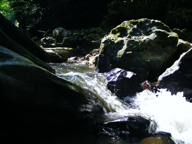 DSCF5239