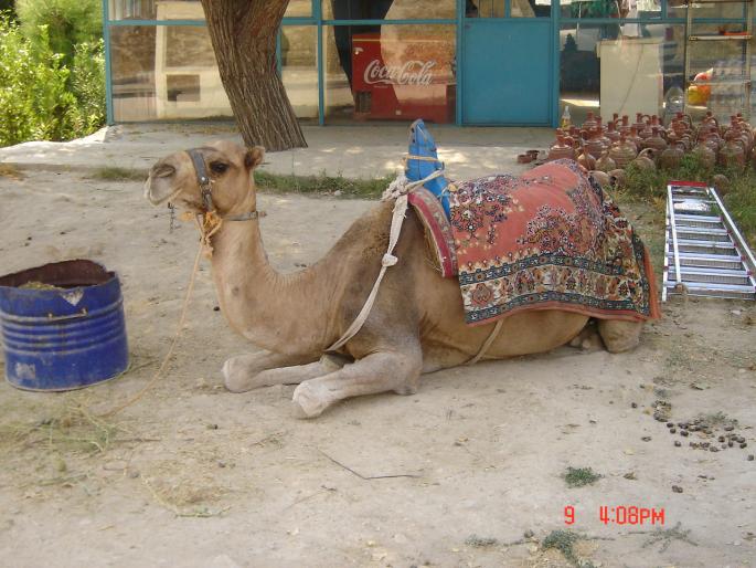 DSC00235 - 2004 TURCIA KUSADASI