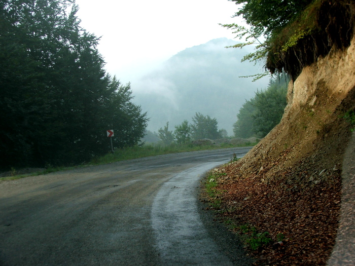 DSCF4898 - Valea Cernei