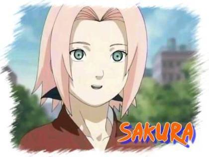 sakura - sakura