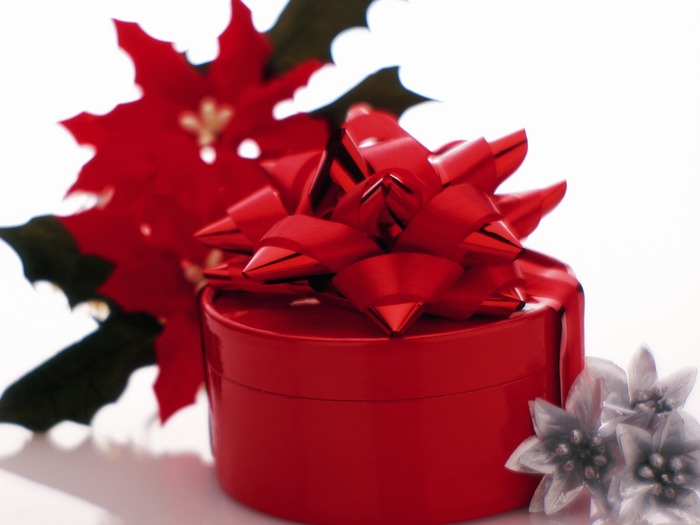 Christmas (92)