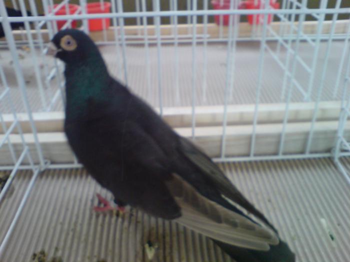 DSC00925