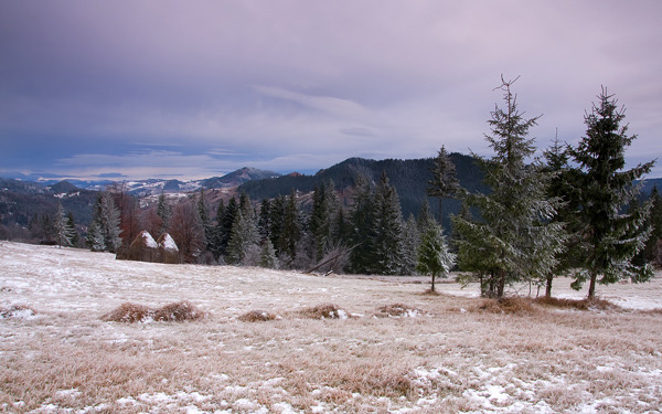 Palaghioi-Peisaj de iarna