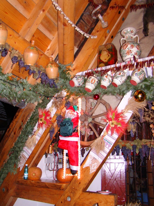 DSC01003