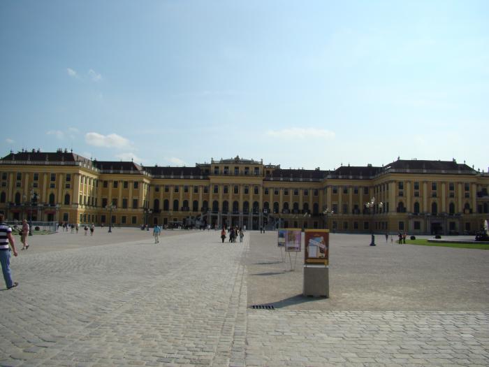 DSC05976 - Viena august 2008