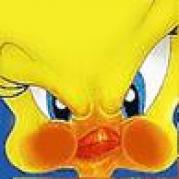 angry%20tweety[1]