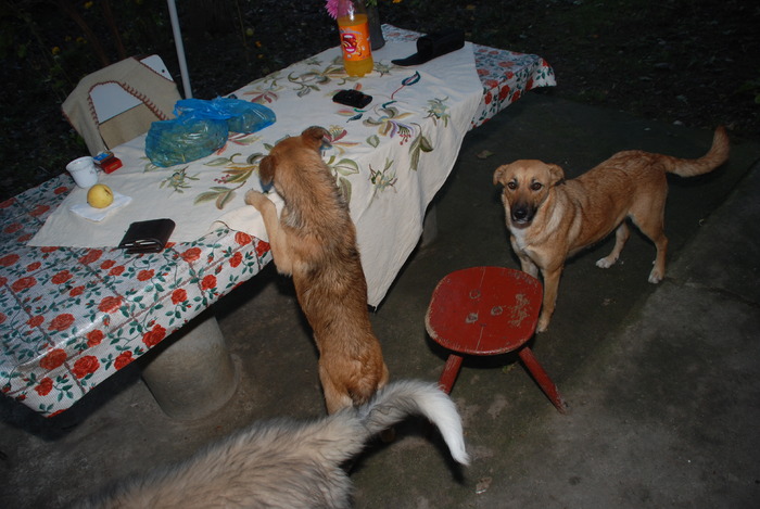 Puteati sa mai lasati si voi ceva mancare,sa nu ma obosesc degeaba:))