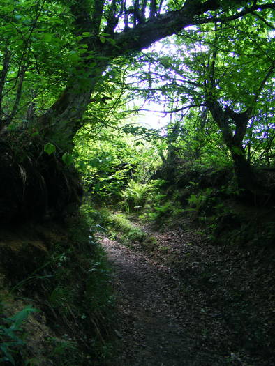DSCF1009