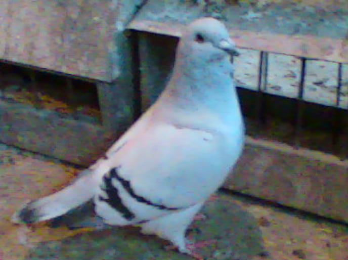 Imag028