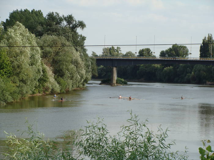 Memorial Sorin Lobont Editia a IX a (2008)
