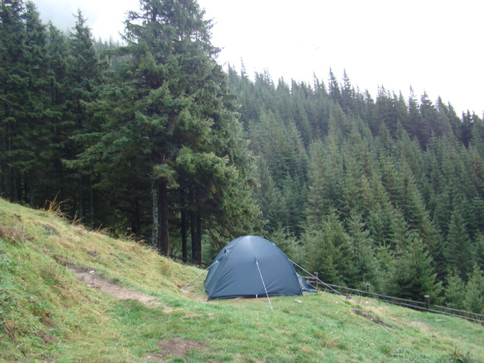 DSC04513 - Valea Crapaturii - Piatra Craiului