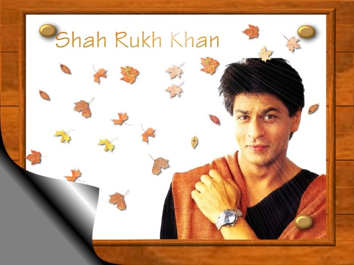 shahrukh_khan_wallpapers_049
