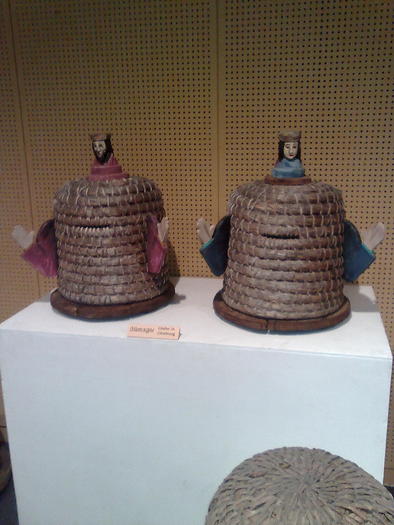 Imagine1081 - ApiMondia